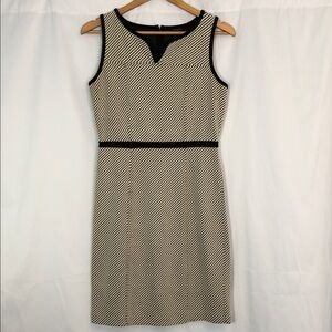 Ann Taylor Black and Cream Striped Mini Dress  Size 2